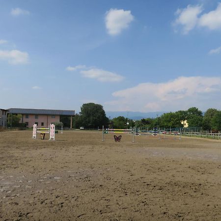 Holiday Home Domus Magna-3 By Interhome Povoletto ภายนอก รูปภาพ
