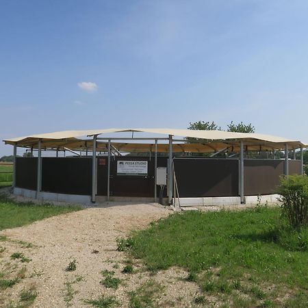 Holiday Home Domus Magna-3 By Interhome Povoletto ภายนอก รูปภาพ